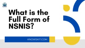 Quelle est la forme complète de NSNIS ?