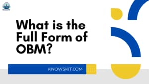 Что такое полная форма OBM?