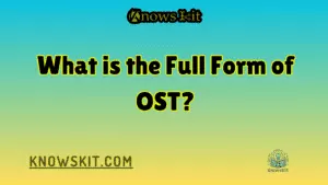 OST 的全称是什么？