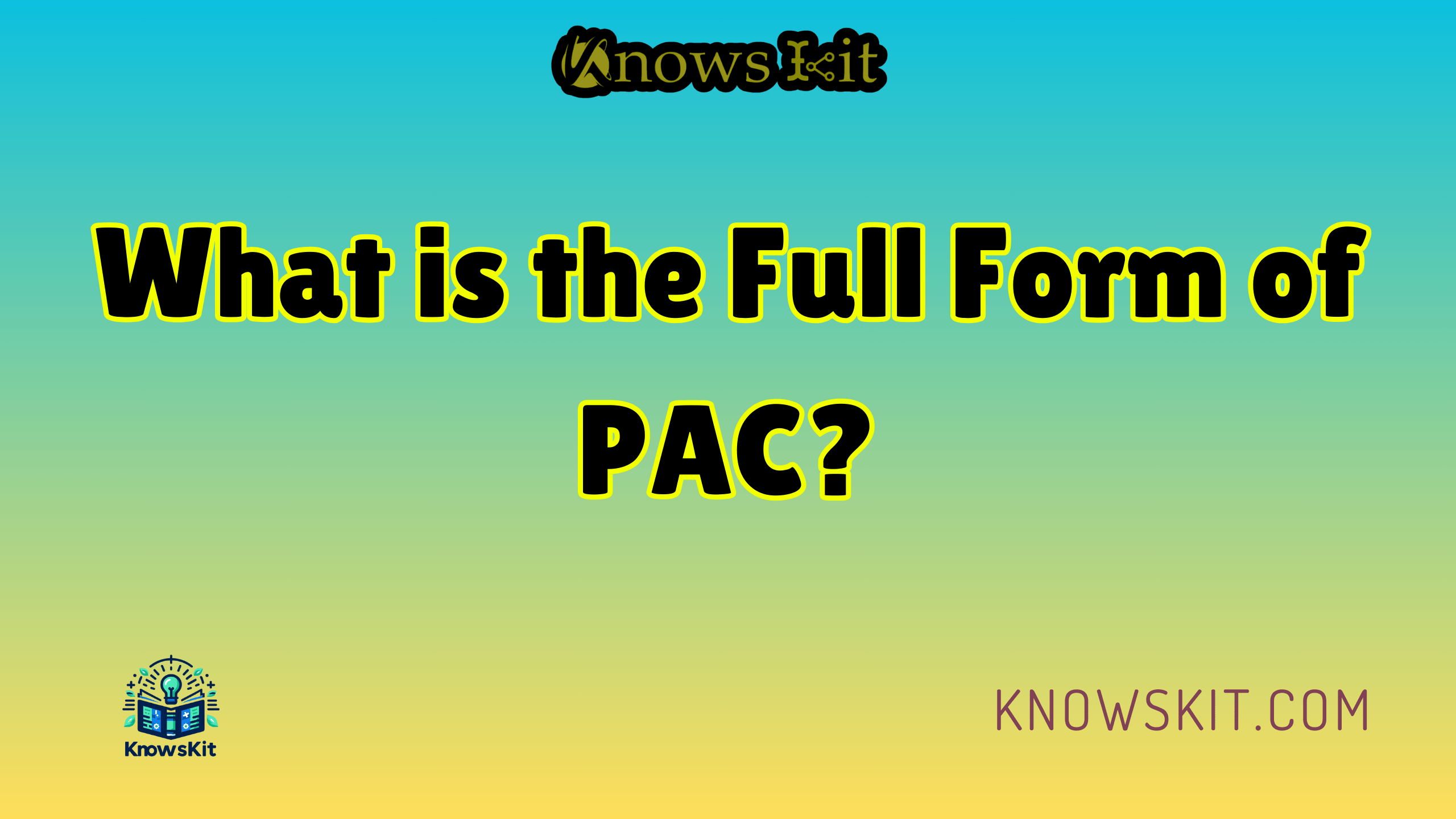 Что такое полная форма PAC?