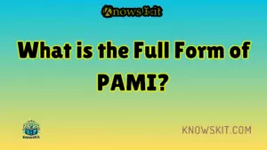 Quelle est la forme complète du PAMI ?
