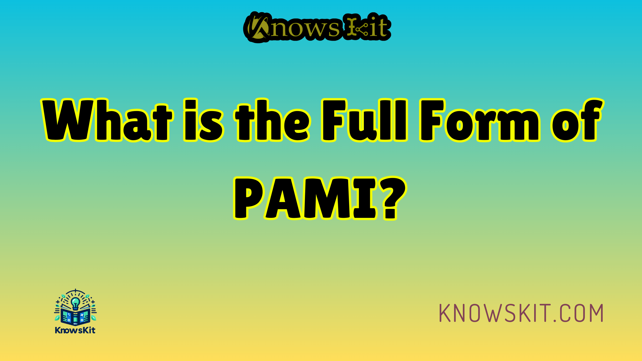 Quelle est la forme complète du PAMI ?
