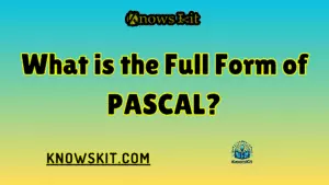 PASCAL 的全称是什么？