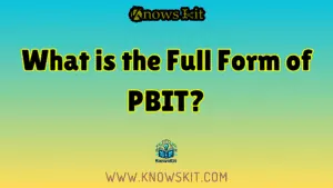 什么是 PBIT 的全称？