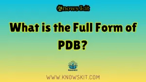 什么是 PDB 的全称？