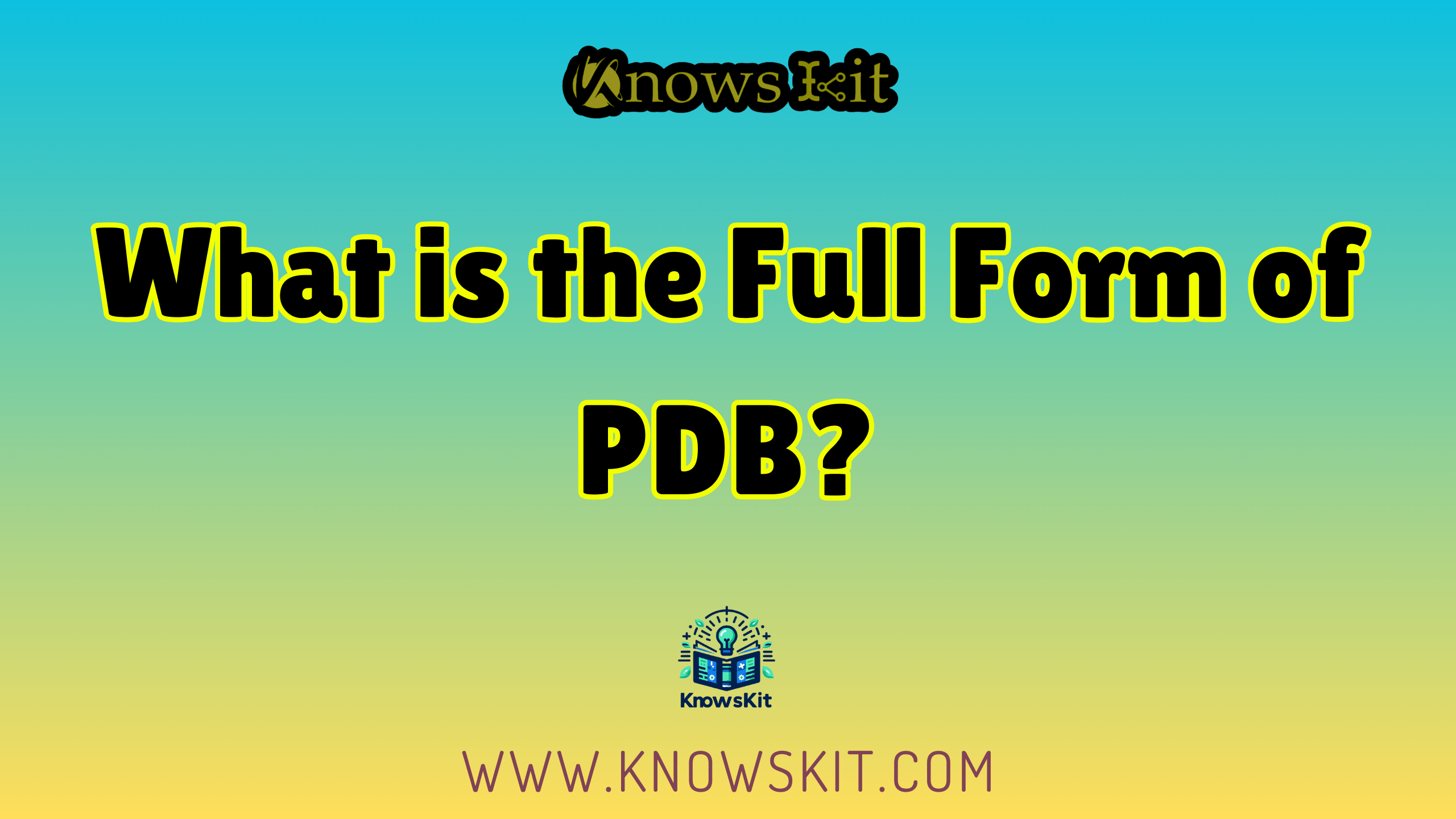 什么是 PDB 的全称？