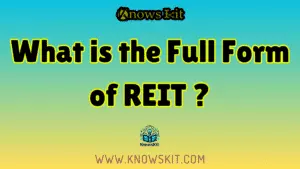 Что такое полная форма REIT?