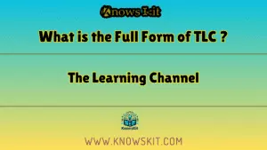 TLC 的全称是什么？