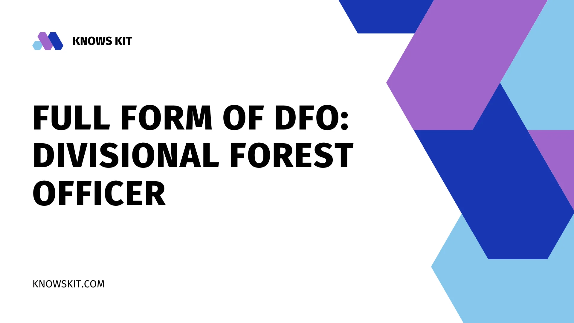 Полная форма DFO: Дивизионный лесничий