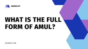 AMUL 的全称是什么？