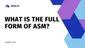 ASM 的全称是什么？