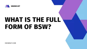 Что такое полная форма BSW