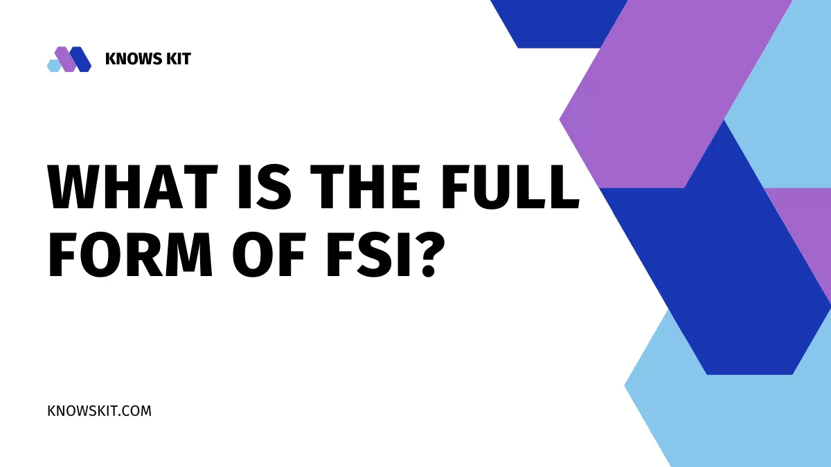 什么是 FSI 的全称