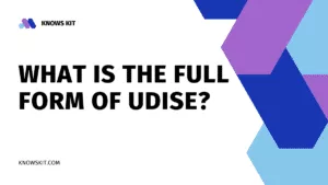 UDISE 的全称是什么？