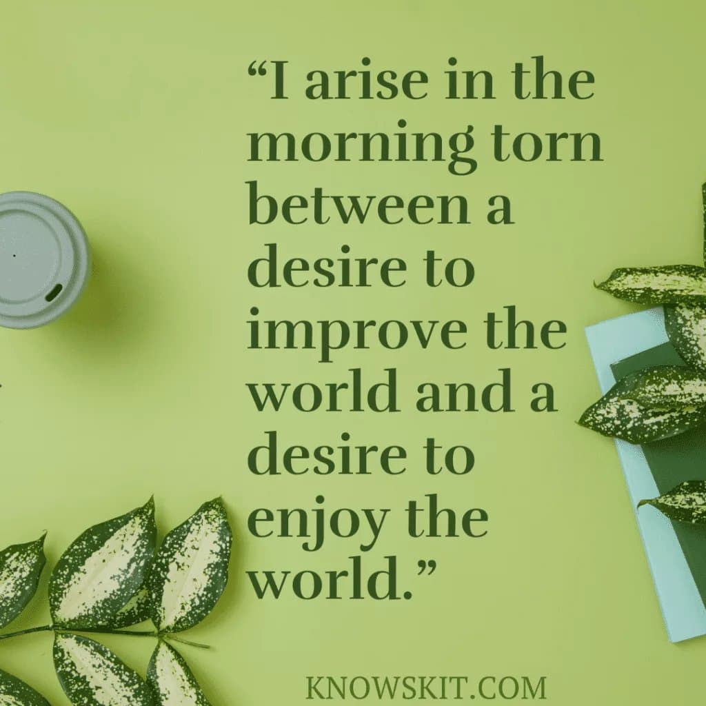 Transform Your Mornings: 10 Uplifting Good Morning Beautiful Quotes for Positivity & Connection 8 Good Love Quotes, Good Morning Beautiful Quotes, Good Morning I Love You, Good Morning Images And Quotes,Good Morning Quote, Good Morning Quotes, Good Morning Quotes For Her, Good Morning Quotes For Him.