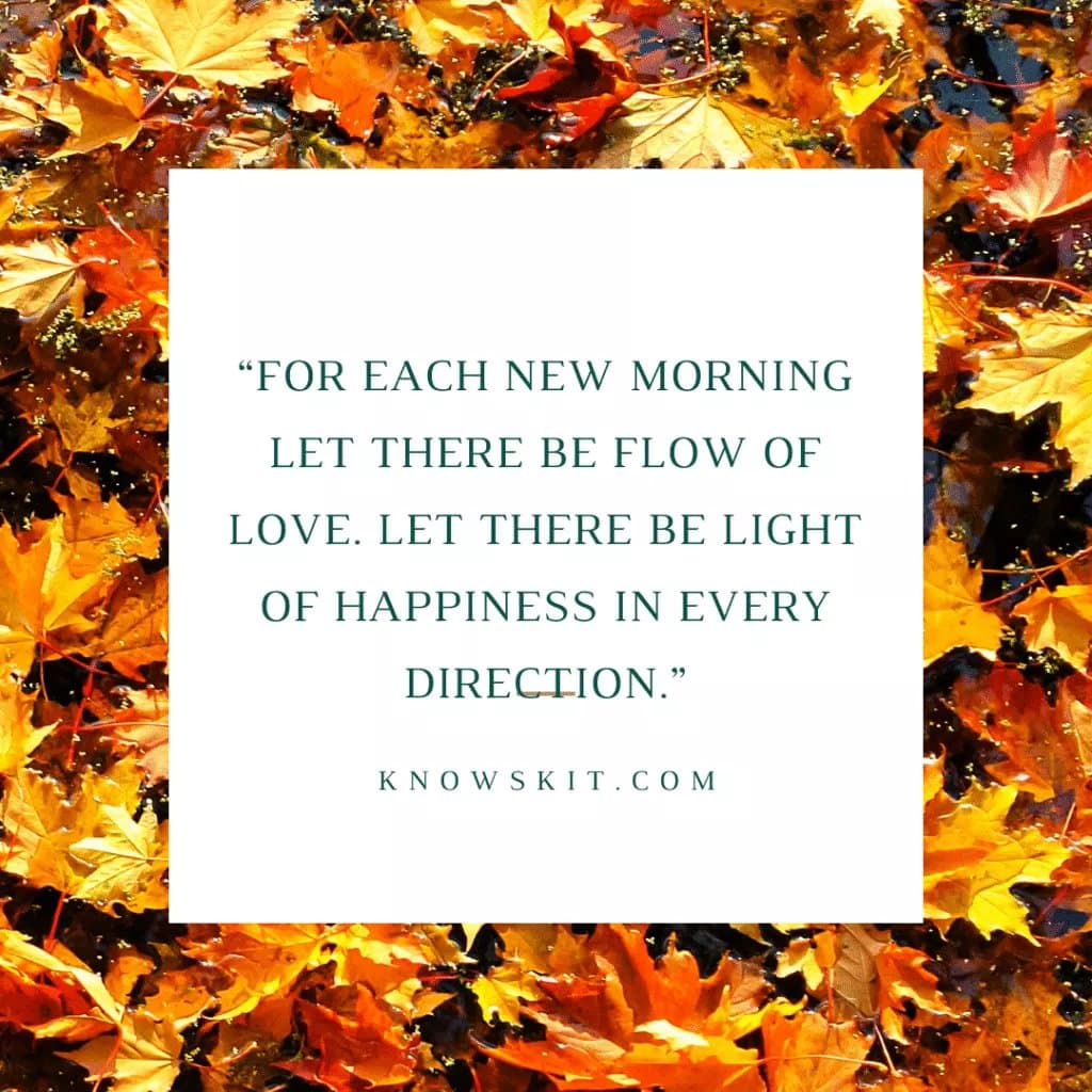 Transform Your Mornings: 10 Uplifting Good Morning Beautiful Quotes for Positivity & Connection 11 Good Love Quotes, Good Morning Beautiful Quotes, Good Morning I Love You, Good Morning Images And Quotes,Good Morning Quote, Good Morning Quotes, Good Morning Quotes For Her, Good Morning Quotes For Him.