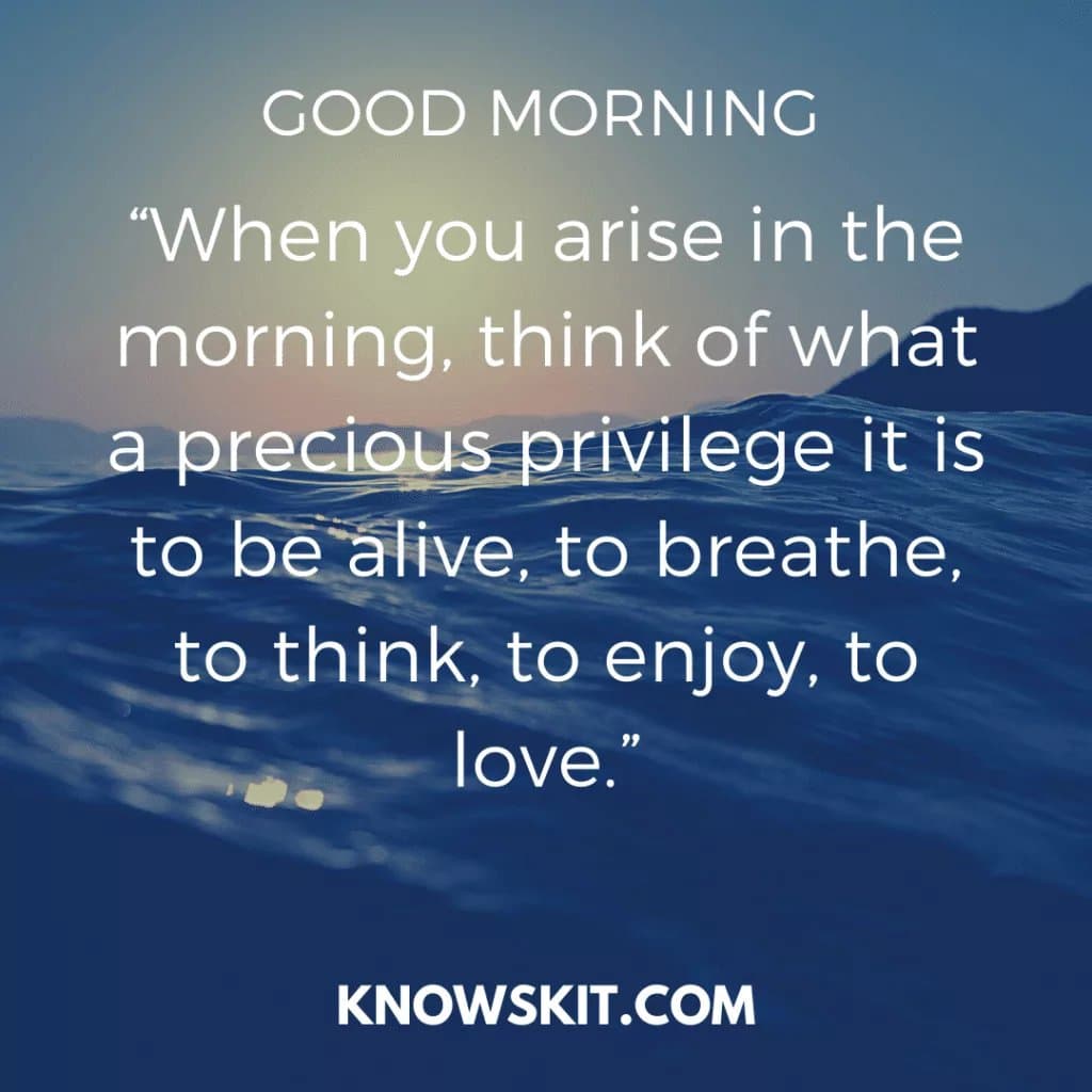 Energize Your Mornings : 15 citations inspirantes pour démarrer votre journée 5 Citations sur l'amour, Citations sur l'amour, Citations sur l'amour, Citations sur l'amour, Citations sur l'amour, Citations sur l'amour, Citations sur l'amour, Citations sur l'amour.