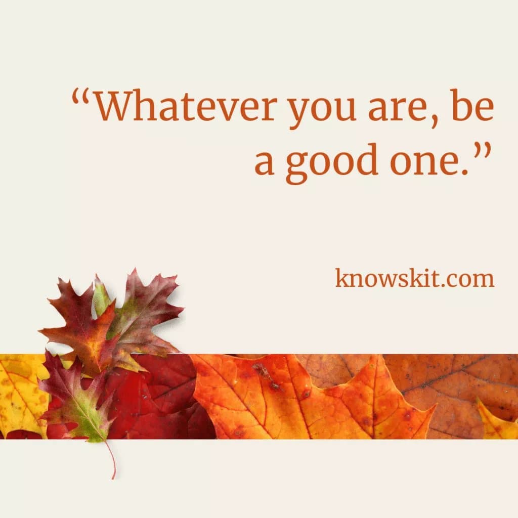 Growth mindset quote, Growth mindset quotes, Growth mindset quotes for students, Quote about growth mindset, Quotes about growth mindset, Quotes for growth mindset, Quotes growth mindset, Quotes on growth mindset