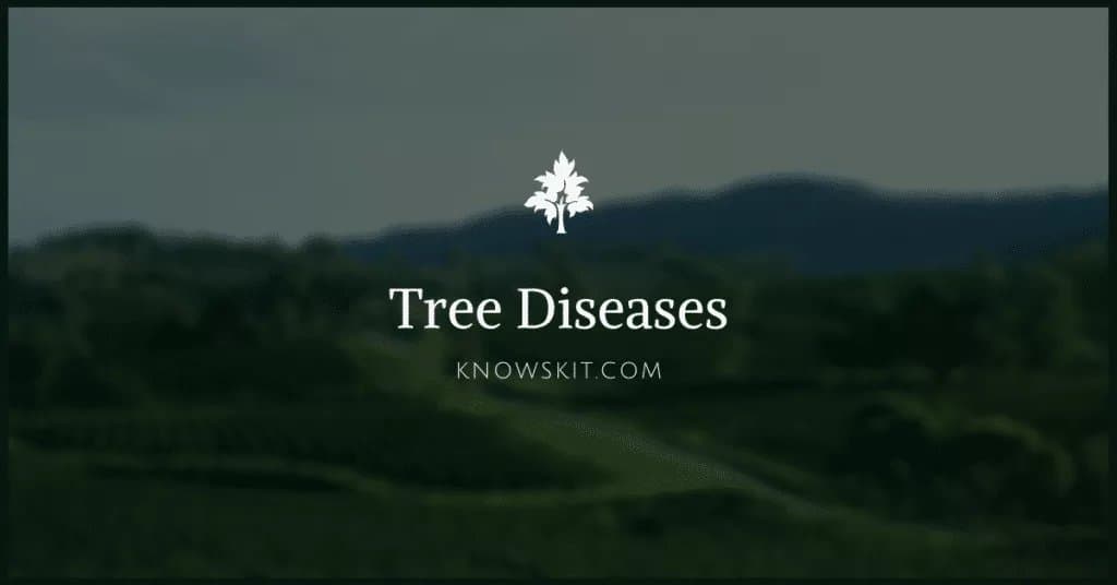 arbres, maladies des arbres, sauver les arbres, à propos des arbres, qu'est-ce qu'un arbre, arbres uniques, faits sur les plantes, faits sur les arbres, faits étonnants sur les arbres, faits amusants sur les arbres.