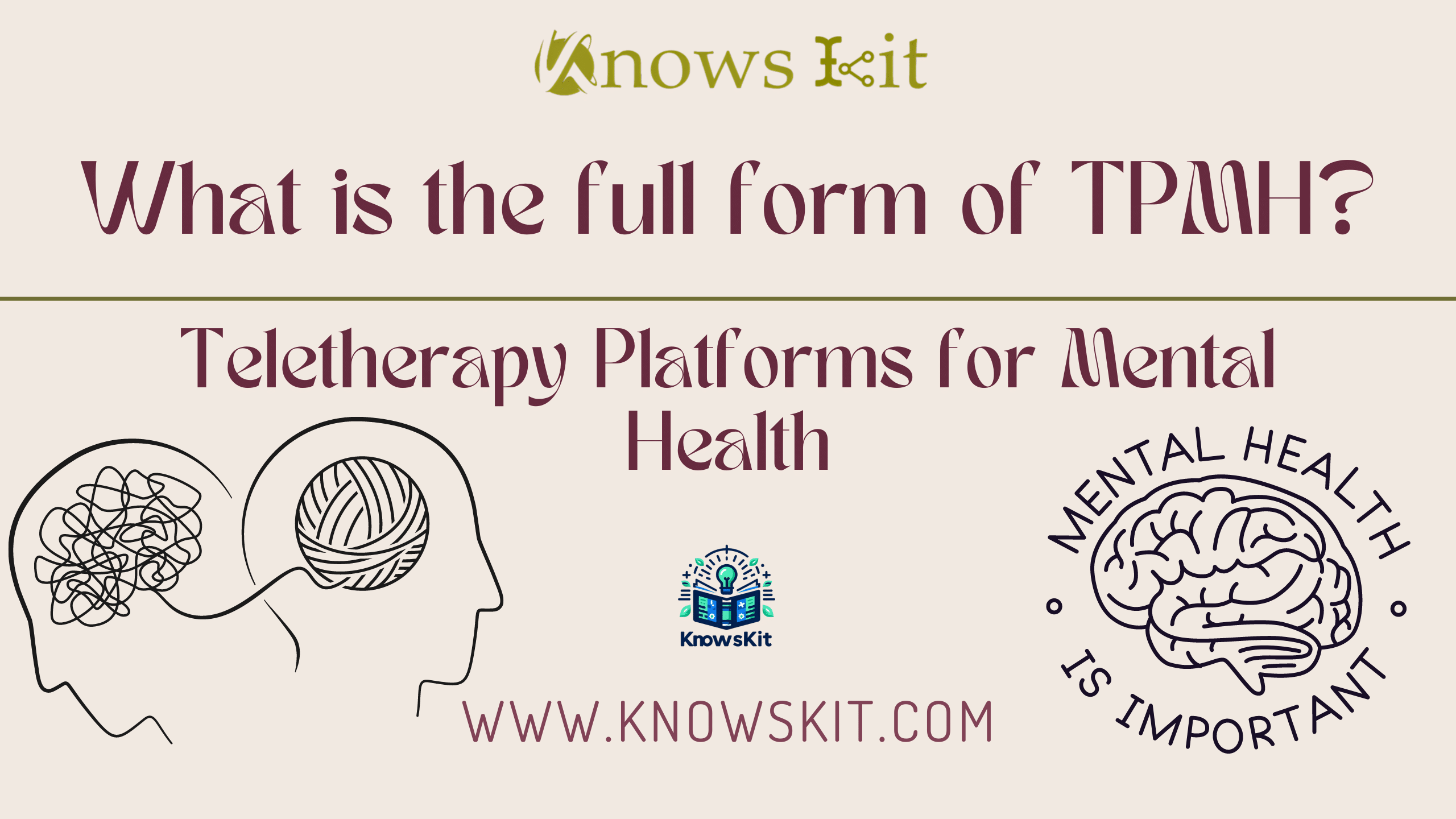 TPMH: Teletherapy Platforms for Mental Health