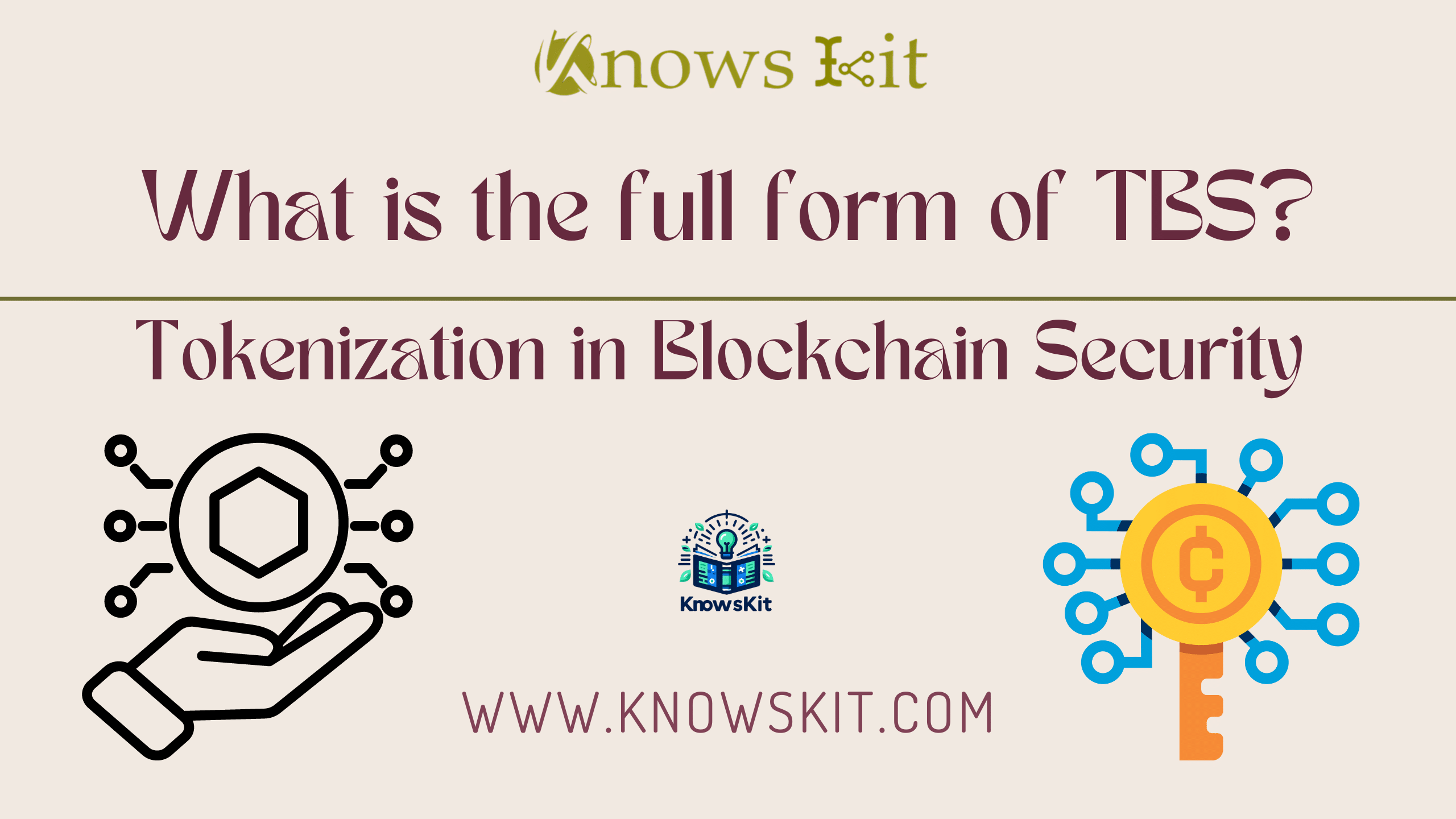 What is the Full Form of TBS ? 1 TBS : Tokenization in Blockchain Security