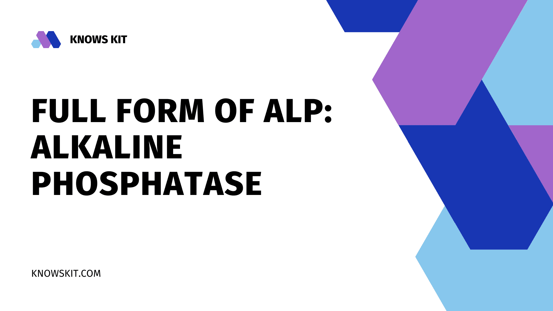 What is the Full Form of ALP? 1 Full Form of ALP: Alkaline Phosphatase